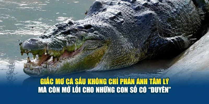 Mơ Thấy Cá Sấu Nên Đánh Con Gì tại 78Win? Gợi Ý Từ Giấc Chiêm Bao 6 Giấc mơ cá sấu không chỉ phản ánh tâm lý mà còn mở lối cho những con số có “duyên”